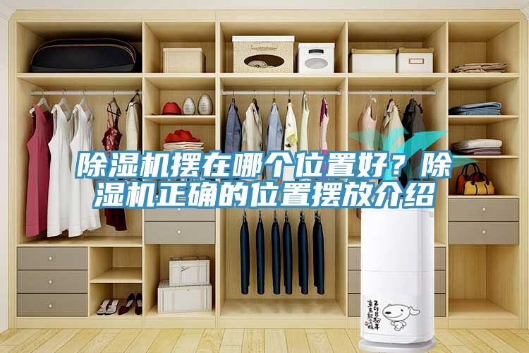 除濕機擺在哪個位置好？除濕機正確的位置擺放介紹