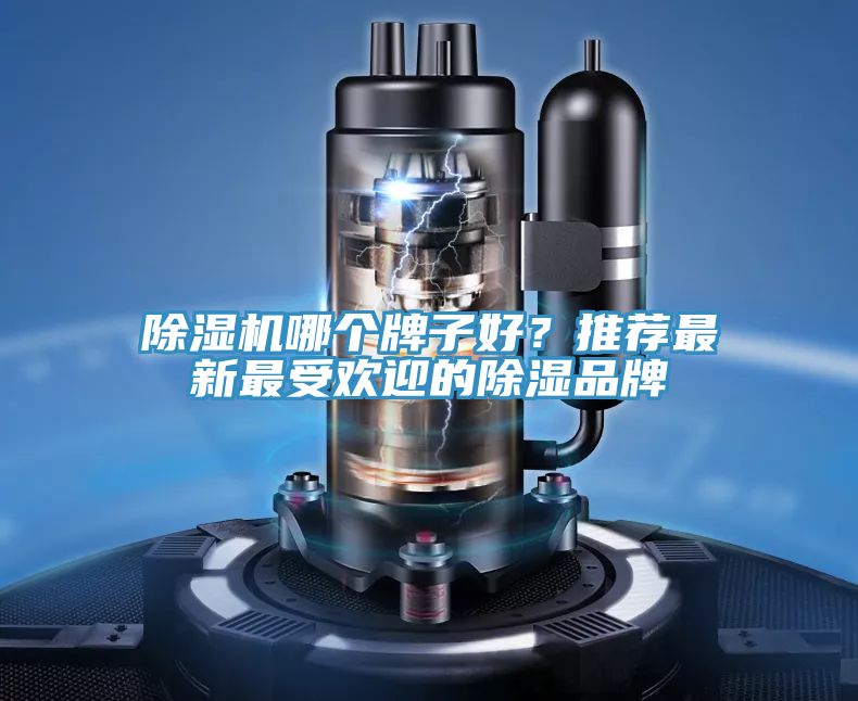 除濕機(jī)哪個(gè)牌子好？推薦最新最受歡迎的除濕品牌