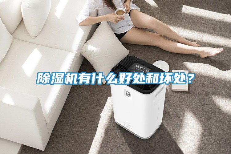 除濕機有什么好處和壞處？