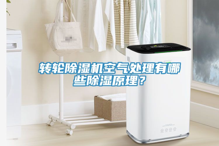 轉(zhuǎn)輪除濕機空氣處理有哪些除濕原理？