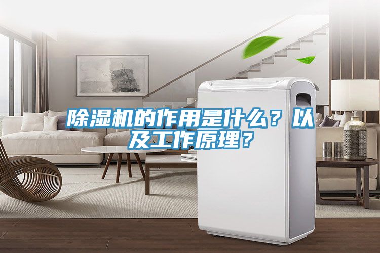 除濕機(jī)的作用是什么？以及工作原理？