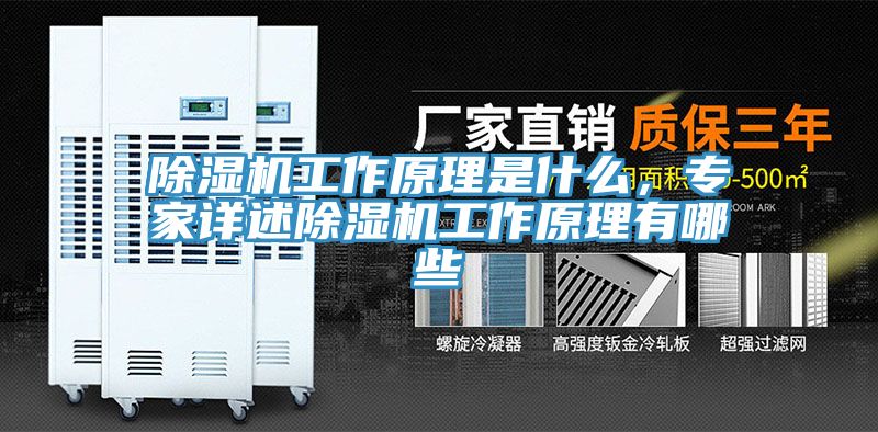 除濕機(jī)工作原理是什么，專(zhuān)家詳述除濕機(jī)工作原理有哪些