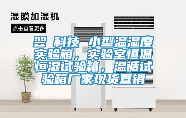 翌昇科技 小型溫濕度實驗箱，實驗室恒溫恒濕試驗箱，溫循試驗箱廠家現(xiàn)貨直銷