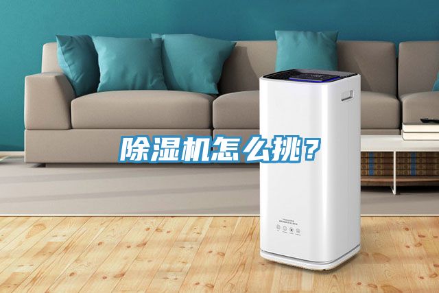 除濕機(jī)怎么挑？