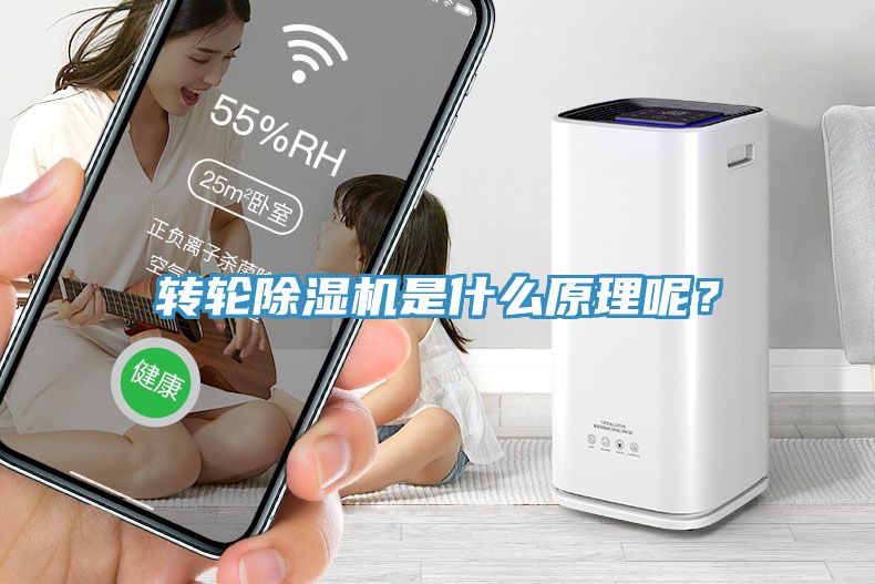 轉(zhuǎn)輪除濕機(jī)是什么原理呢？