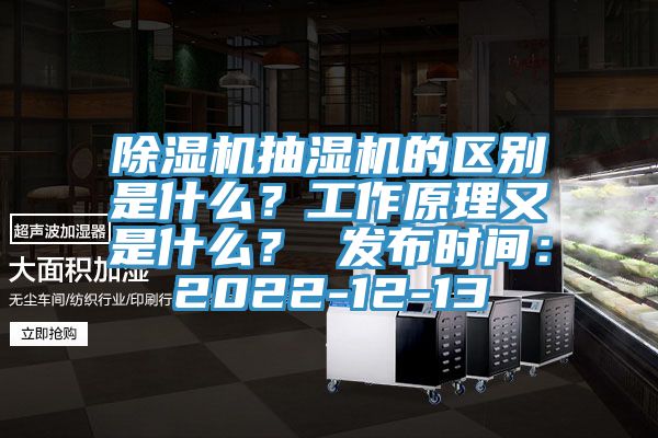 除濕機(jī)抽濕機(jī)的區(qū)別是什么？工作原理又是什么？ 發(fā)布時(shí)間：2022-12-13