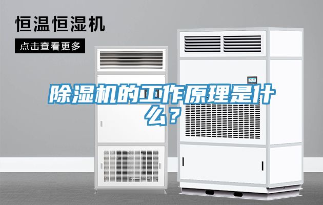 除濕機(jī)的工作原理是什么？