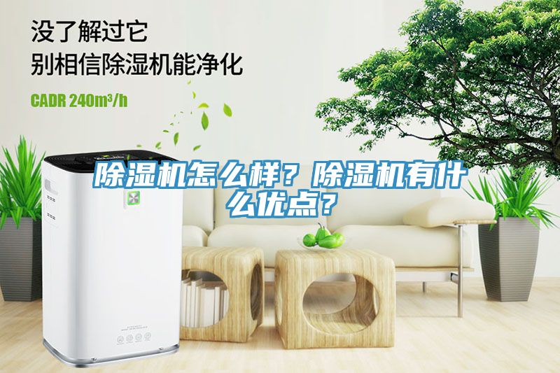 除濕機怎么樣？除濕機有什么優(yōu)點？