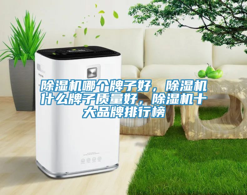 除濕機(jī)哪個(gè)牌子好，除濕機(jī)什么牌子質(zhì)量好，除濕機(jī)十大品牌排行榜
