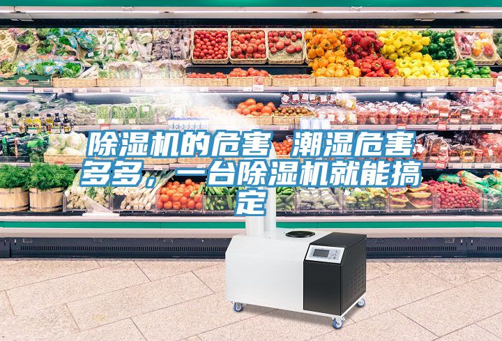 除濕機(jī)的危害 潮濕危害多多，一臺除濕機(jī)就能搞定
