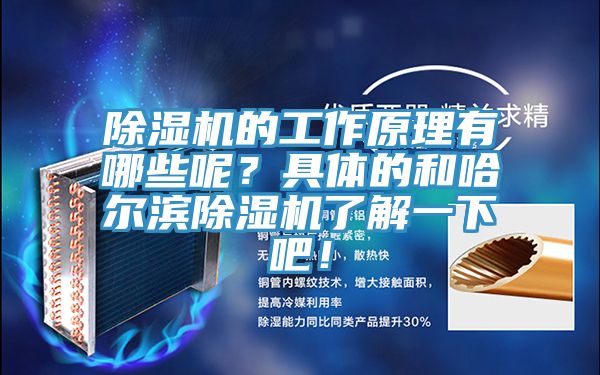 除濕機(jī)的工作原理有哪些呢？具體的和哈爾濱除濕機(jī)了解一下吧！
