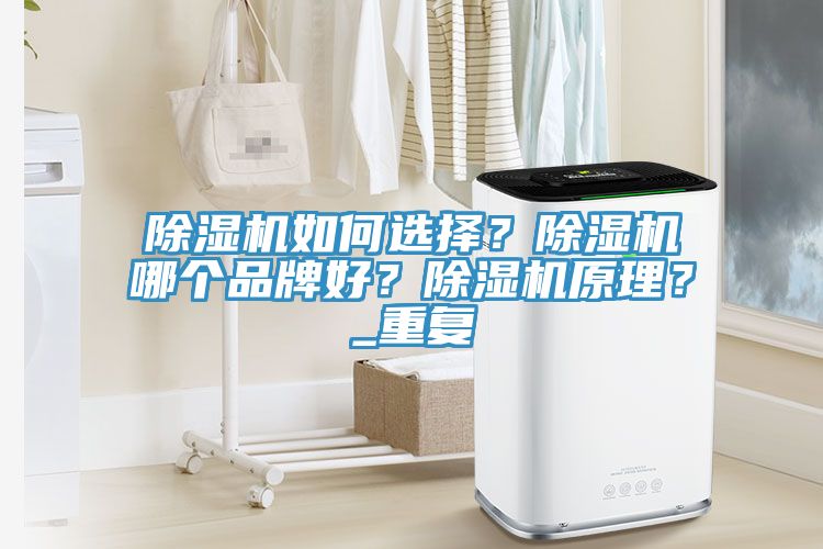 除濕機如何選擇？除濕機哪個品牌好？除濕機原理？_重復(fù)