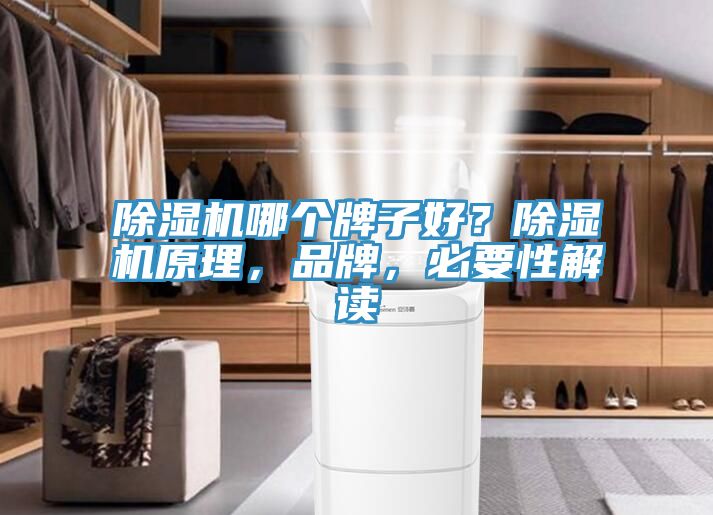 除濕機(jī)哪個(gè)牌子好？除濕機(jī)原理，品牌，必要性解讀