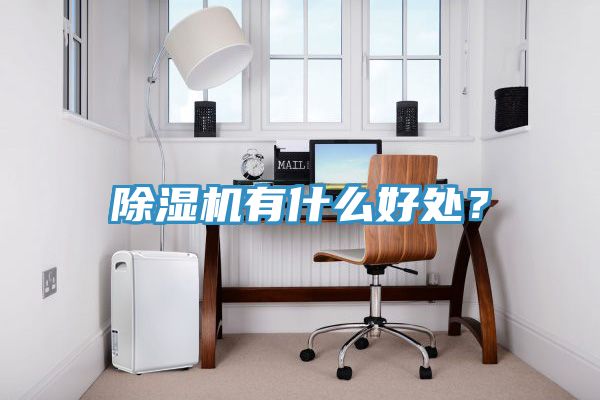 除濕機有什么好處？