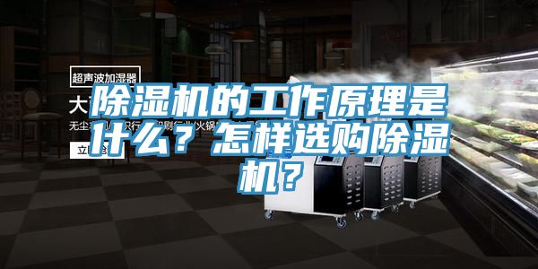除濕機(jī)的工作原理是什么？怎樣選購(gòu)除濕機(jī)？