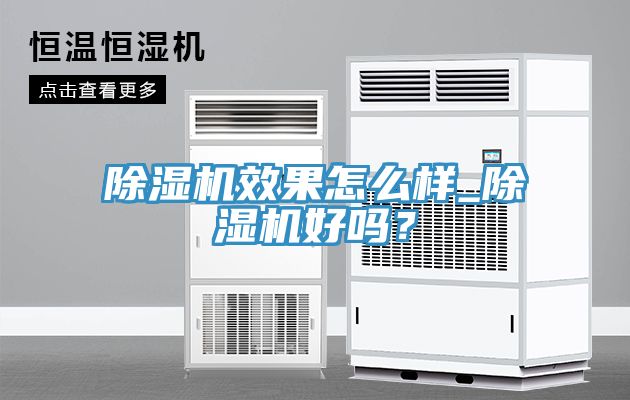 除濕機(jī)效果怎么樣_除濕機(jī)好嗎？