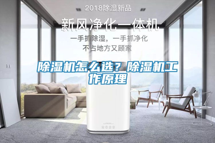 除濕機怎么選？除濕機工作原理