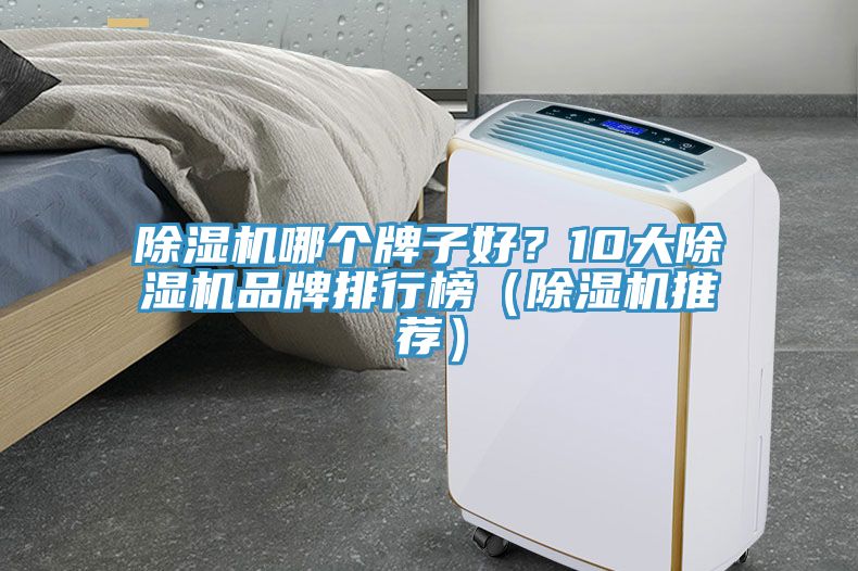 除濕機(jī)哪個(gè)牌子好？10大除濕機(jī)品牌排行榜（除濕機(jī)推薦）