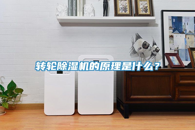 轉(zhuǎn)輪除濕機(jī)的原理是什么？