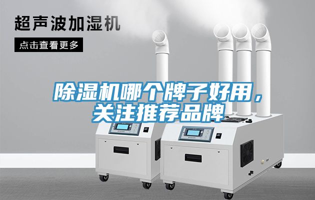 除濕機(jī)哪個(gè)牌子好用，關(guān)注推薦品牌