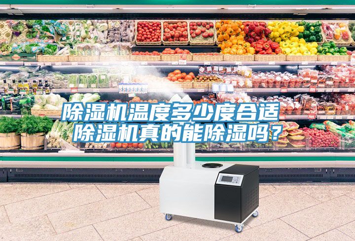 除濕機(jī)溫度多少度合適 除濕機(jī)真的能除濕嗎？
