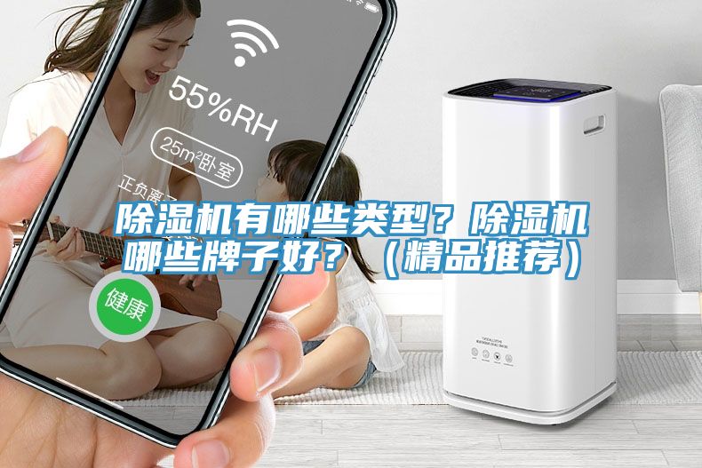 除濕機(jī)有哪些類型？除濕機(jī)哪些牌子好？（精品推薦）