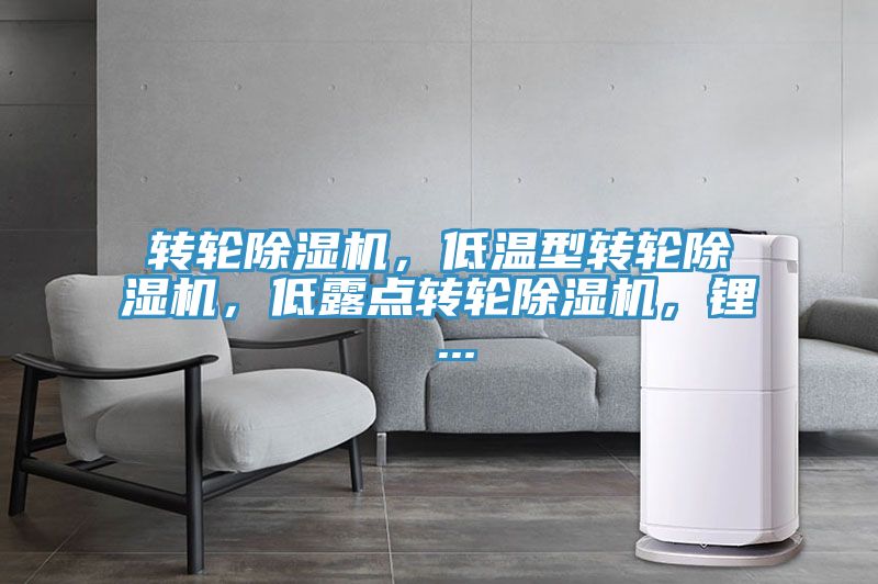 轉輪除濕機，低溫型轉輪除濕機，低露點轉輪除濕機，鋰 ...