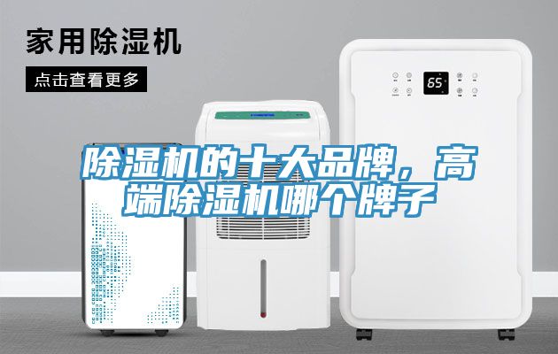 除濕機(jī)的十大品牌，高端除濕機(jī)哪個牌子