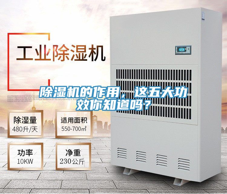 除濕機(jī)的作用，這五大功效你知道嗎？